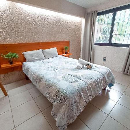 Hostal Casa Maria 칸쿤 외부 사진