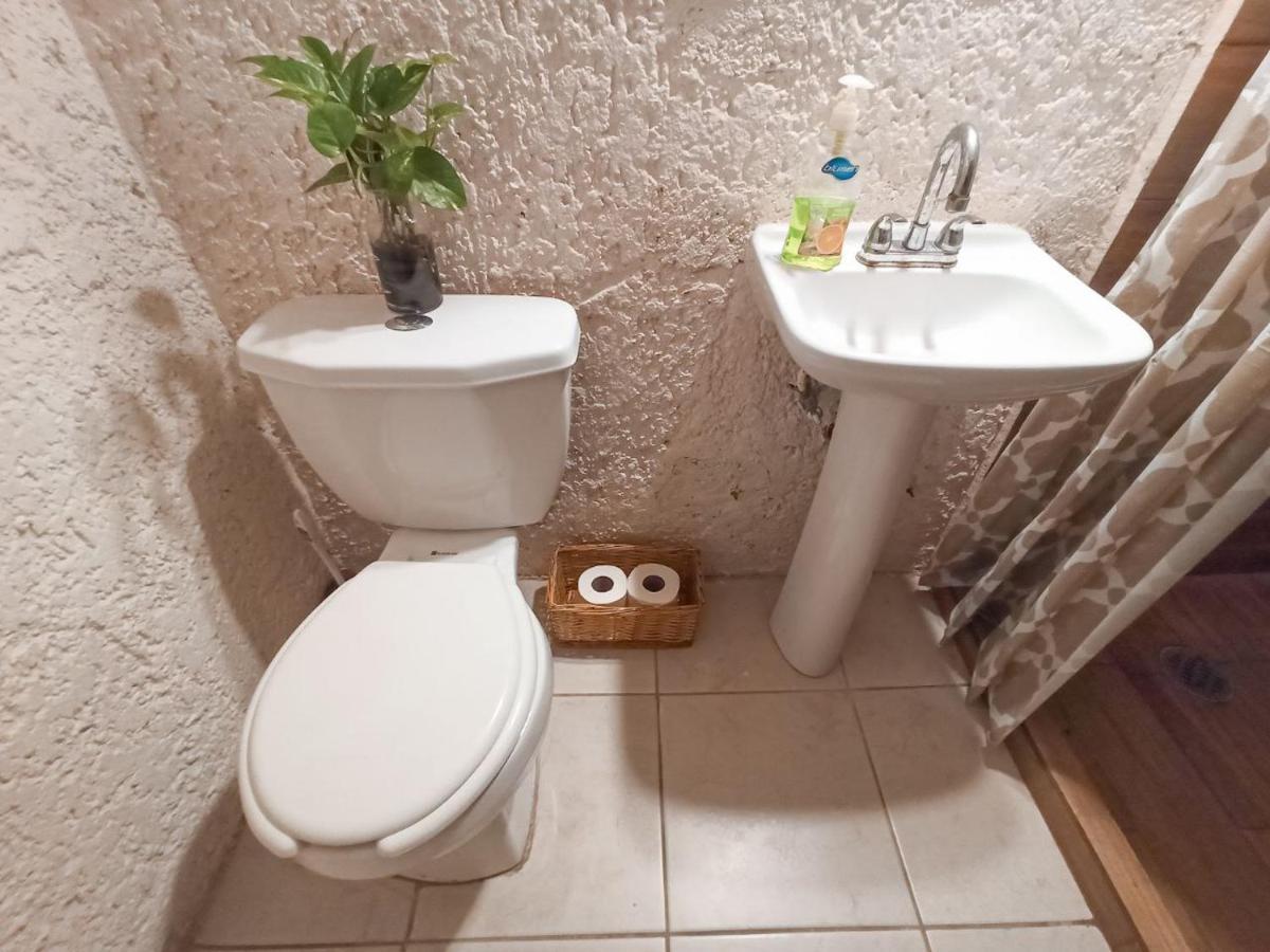 Hostal Casa Maria 칸쿤 외부 사진